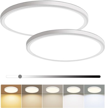 2 Pack 12 Inch LED Flush Mount Ceiling Light Fixture 28W 3200LM Dimmable 5 Color Temperature in One Super Slim Round Ceiling Lamp Low Profile Ceiling Lights for Living Bedroom Kitchen Laundry White