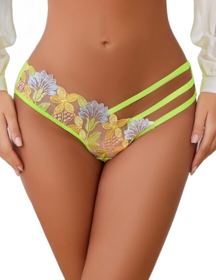 Avidlove Sexy Panties for Women Butterfly Embroidered Underwear Mesh Panties Pack Avidlove Sexy Panties for Women Butterfly Embroidered Underwear Mesh Panties Pack
