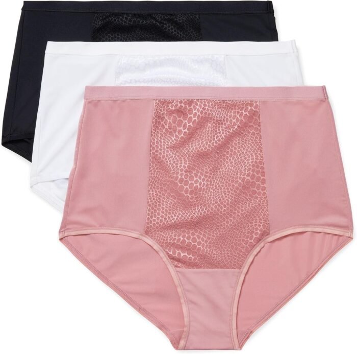 Warner’s Women’s Blissful Benefits Tummy-Smoothing Comfort Microfiber Brief 3-Pack Rs4433w