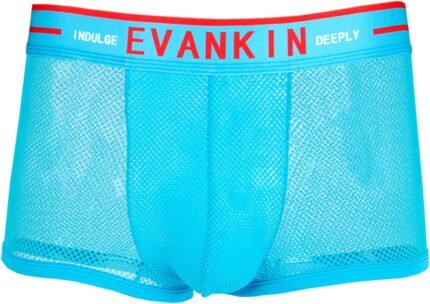 Evankin Men’s Mesh Underwear Sexy Boxer Briefs Breathable Trunks Lingerie Wide Waistband