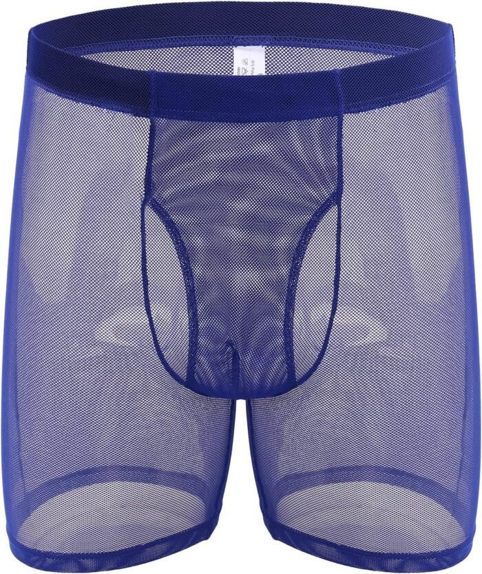 Evankin Men’s Underwear Sexy Mesh Breathable Boxer Briefs Low Rise Cool Valentines Boxers Pack Set