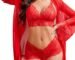 Avidlove Womens Sexy Lingerie Set 3 Piec...